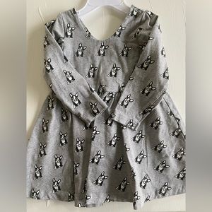 2T long sleeve girls dress. Never worn